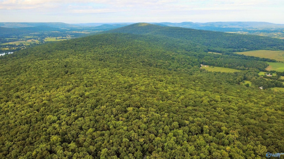 80 Kroff Rd, Gurley, AL 35748 - photo 1