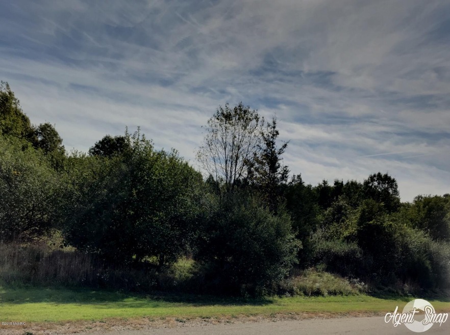 Image-1 (4)