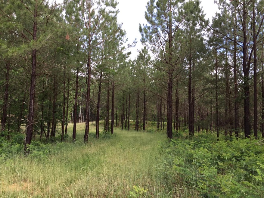 0 Bear Trace Dr unit 1268369, Jasper, TN 37347 - photo 1