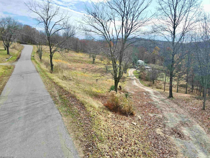 1945 Wilson Ridge Rd, Duck, WV 25063 - photo 1