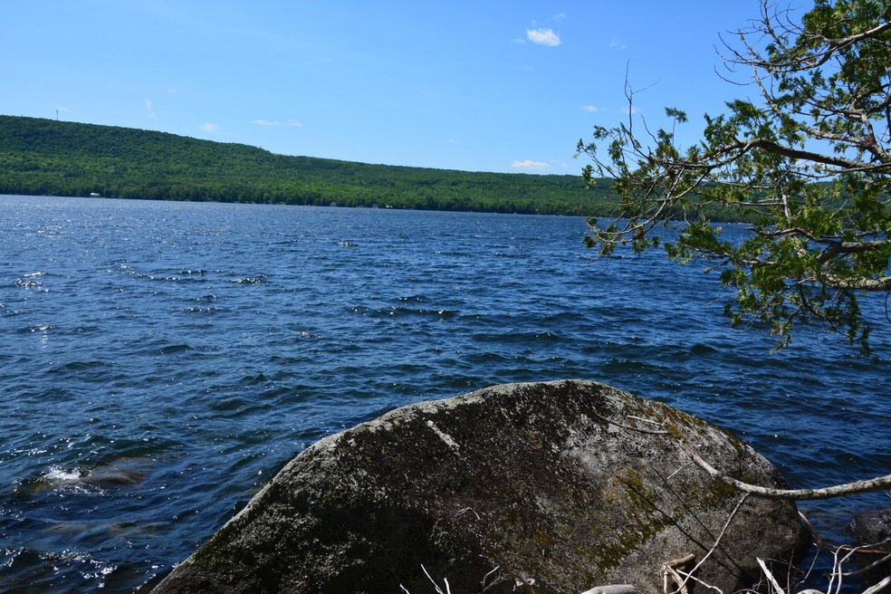 DSC_0090 - Copy