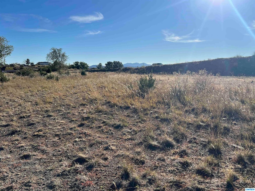 105X Mountain View Dr, Silver City, NM 88061 - photo 1