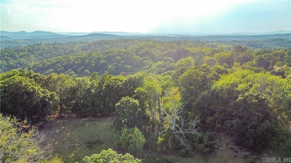 400 Fowler Spring Rd, Saint Joe, AR 72675 - photo 1