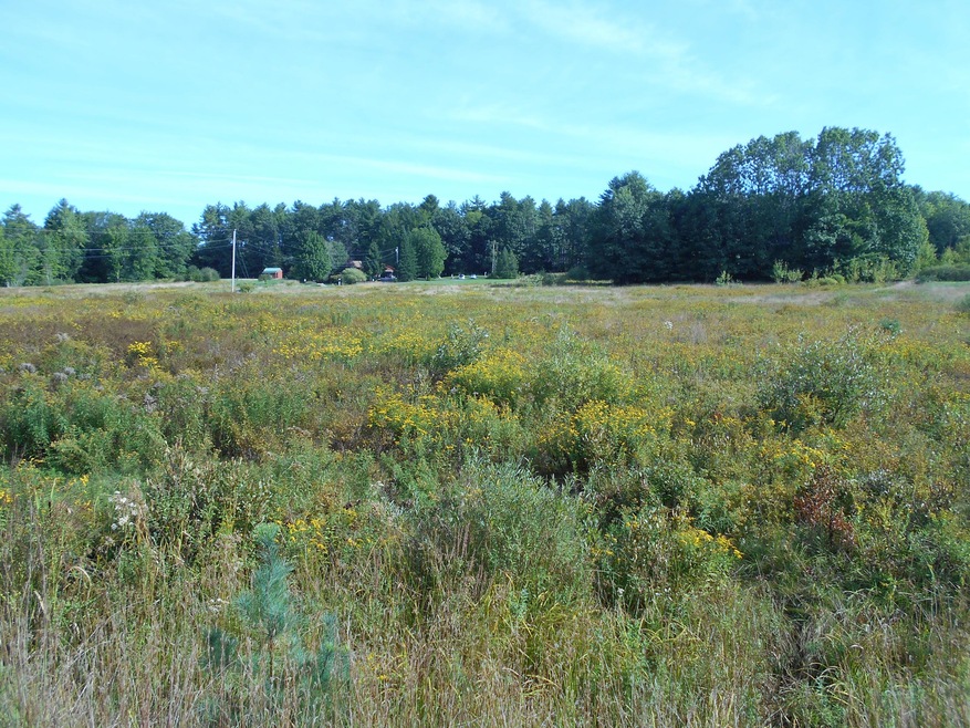 Lot # 3 Joy Valley Rd, Buxton, ME 04093 - photo 1