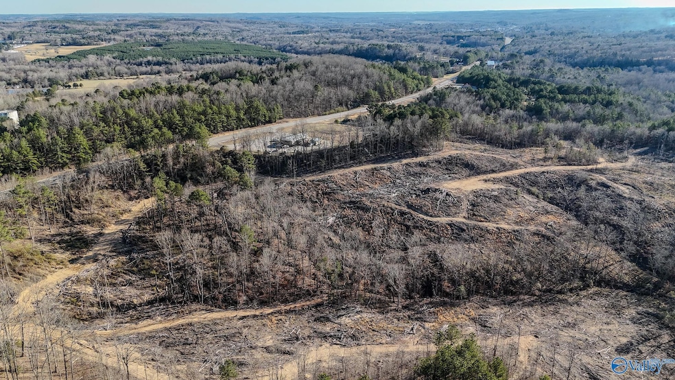 32 Acres Hwy 43, Hamilton, AL 35570 - photo 1