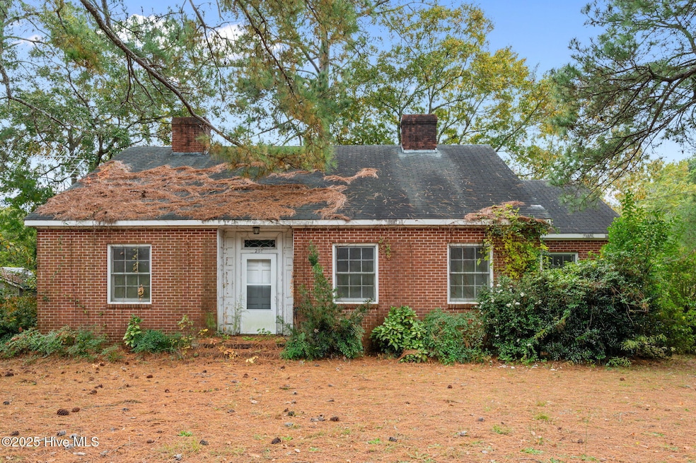 201 Park Ave, Kinston, NC 28501 - photo 1