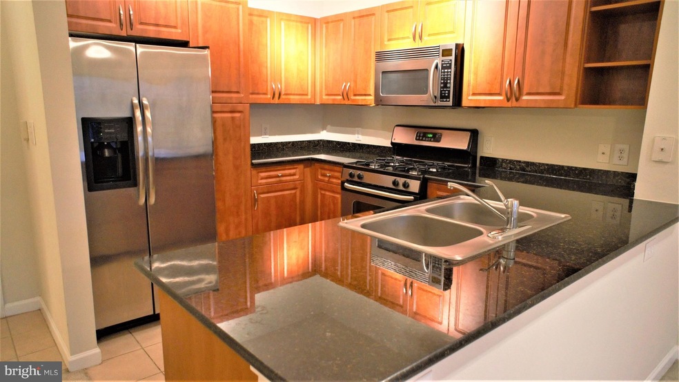 Bryson At Woodland Park unit 402, Herndon, VA 20171 - photo 1