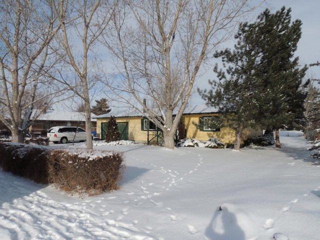 Main View