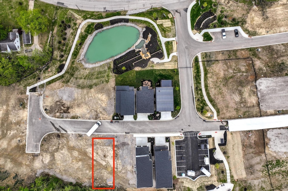 Lot 55