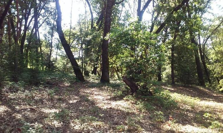 20676 Spring Garden Rd, Foresthill, CA 95631 - photo 1