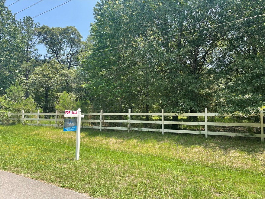 15217 Saddlewood Dr, Conroe, TX 77384 - photo 1