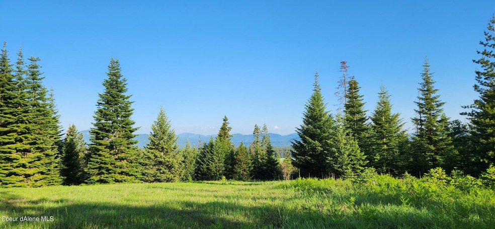 NNA E Hooker Hill Rd, Hayden, ID 83835 - photo 1