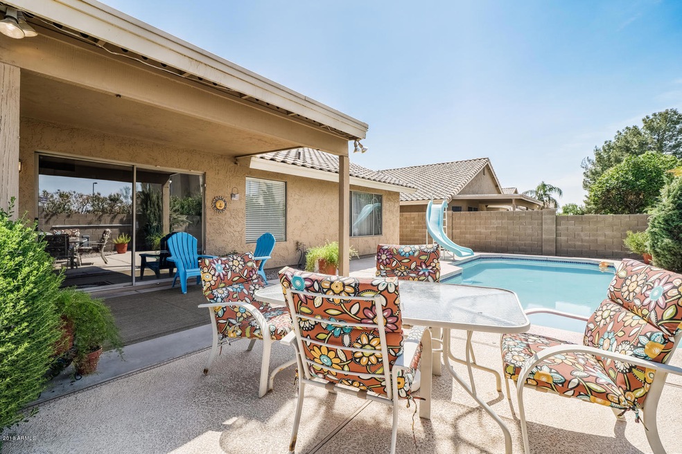 2466 S Rowen Mesa AZ 85209 USA-large-019