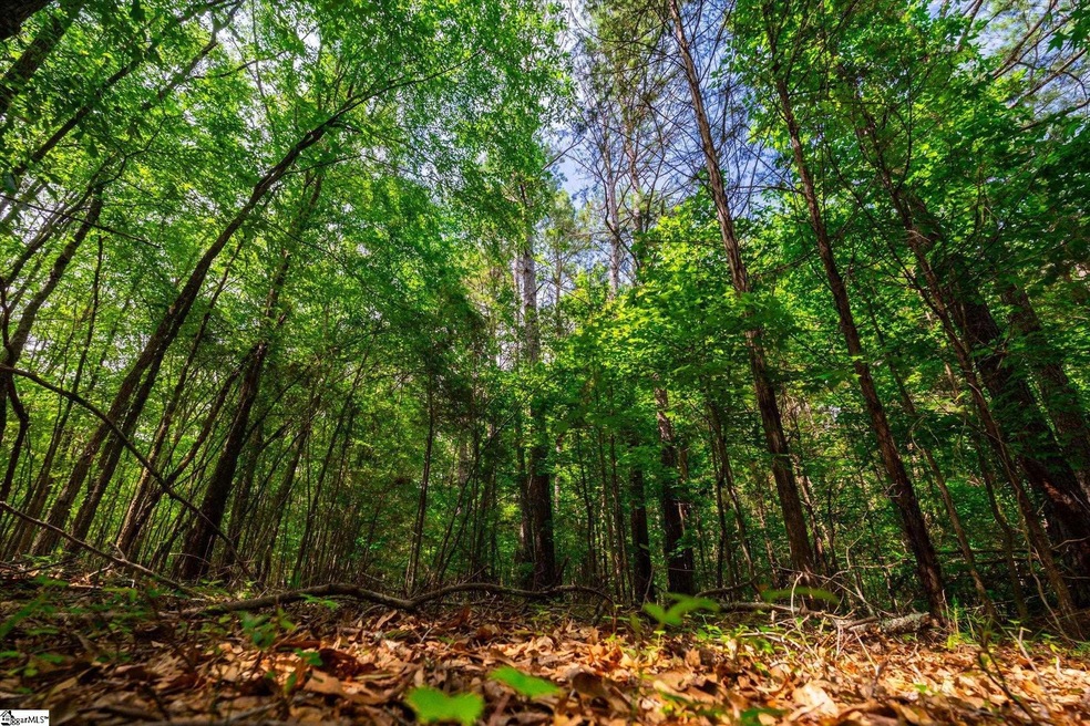 00 Watt Rogers Rd unit Tract 2, Pelzer, SC 29669 - photo 1