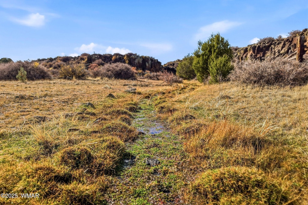 00 Tbd, Greer, AZ 85927 - photo 1