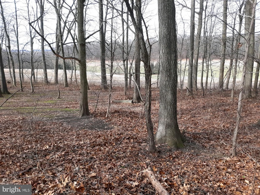 403 Mount Eden Rd, Kirkwood, PA 17536 - photo 1