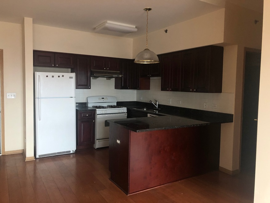 2322 S Canal St unit 411, Chicago, IL 60616 - photo 1