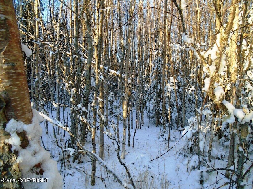 L2 Shearwater St, Knik-Fairview, AK 99654 - photo 1