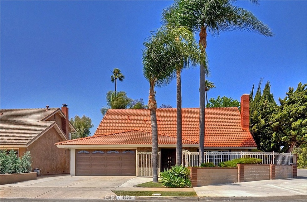 Custom Upgraded 4 Bedroom, 3 Bath Home with 1 Bedroom & 1 Bath Down