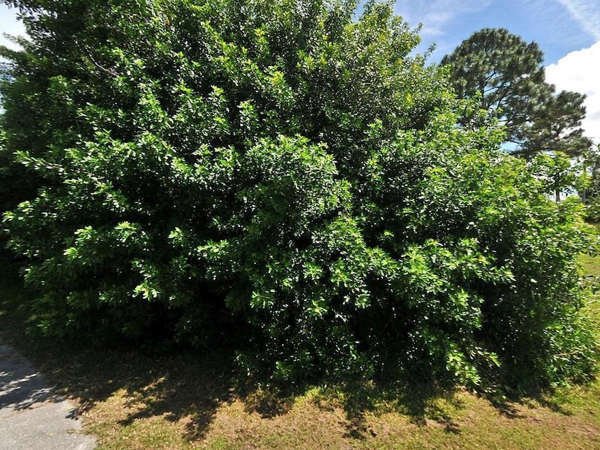 1114 SW Calmar Ave, Port St. Lucie, FL 34953 - photo 1