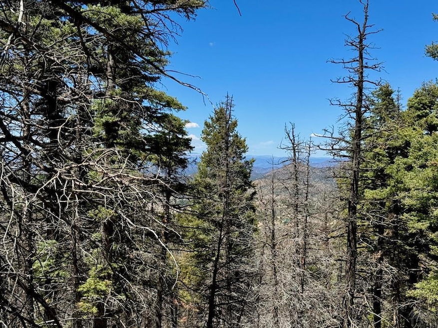 TBD Derigo Ln, Westcliffe, CO 81252 - photo 1