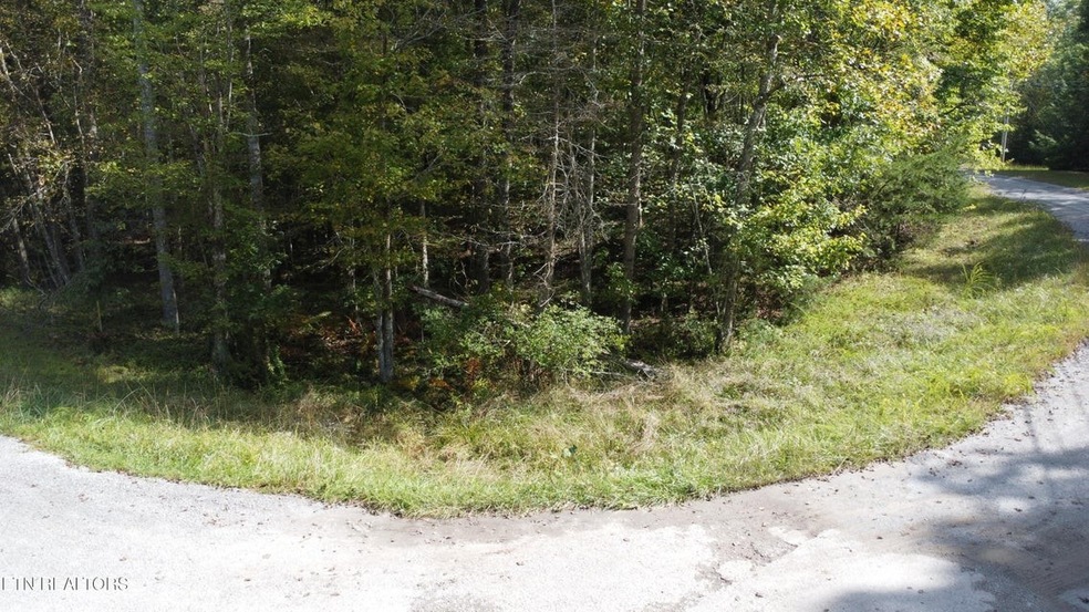 0 Poston Dr unit RTC2927573, Monterey, TN 38574 - photo 1