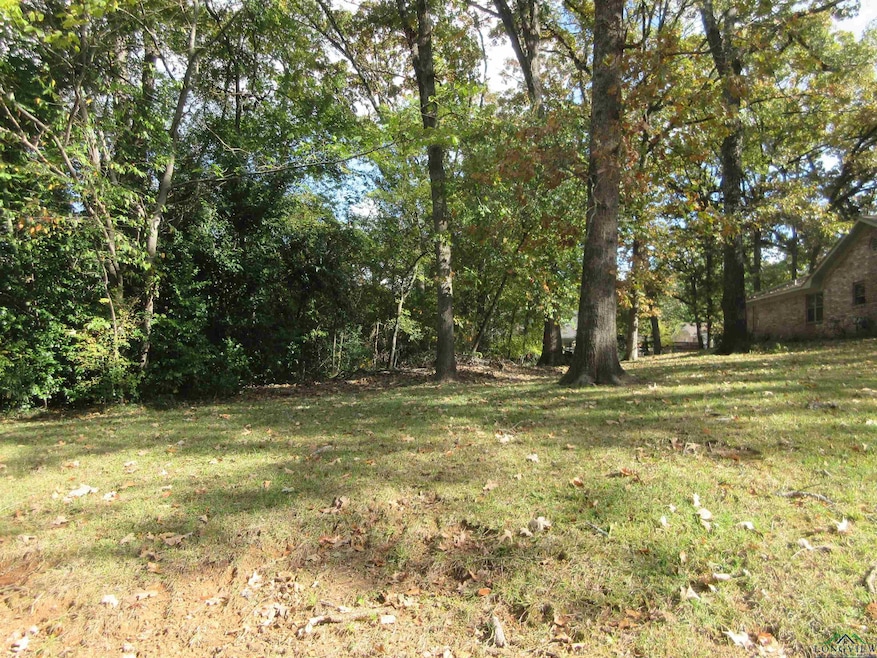 2308 Tennessee St, Longview, TX 75605 - photo 1