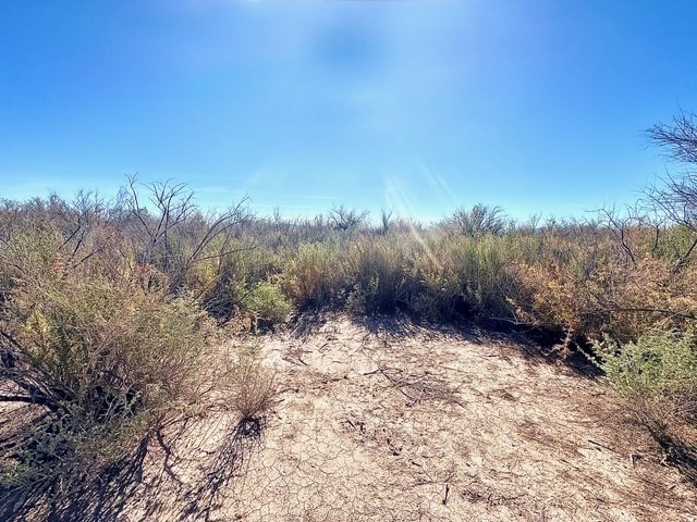 2811 Harold Place, Mohave Valley, AZ 86440 - photo 1