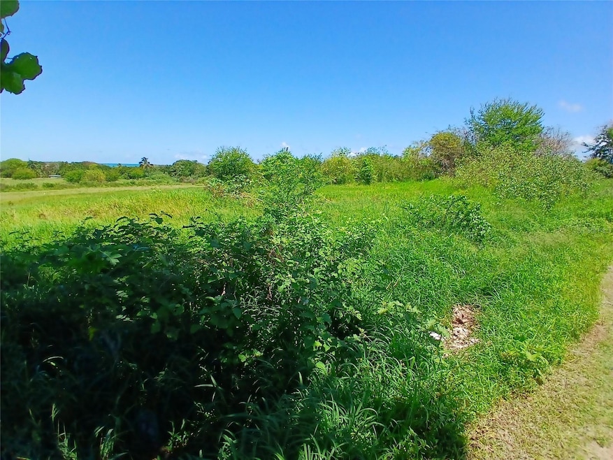 Property to the North