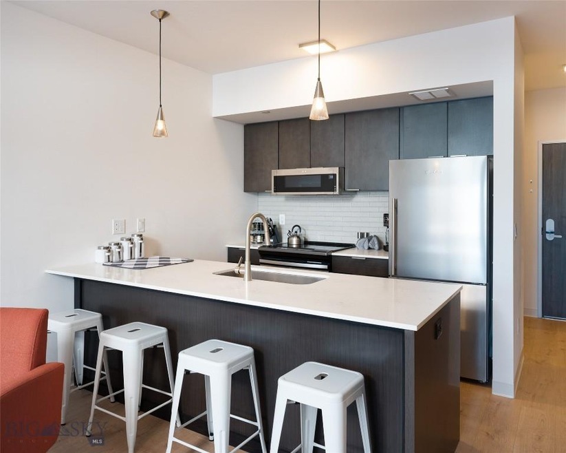 718 W Babcock St unit 204, Bozeman, MT 59715 - photo 1