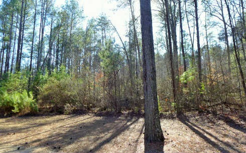 4.6AC Clear Creek Woods, Ellijay, GA 30536 - photo 1