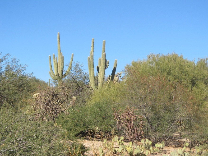 old spanish trail 012