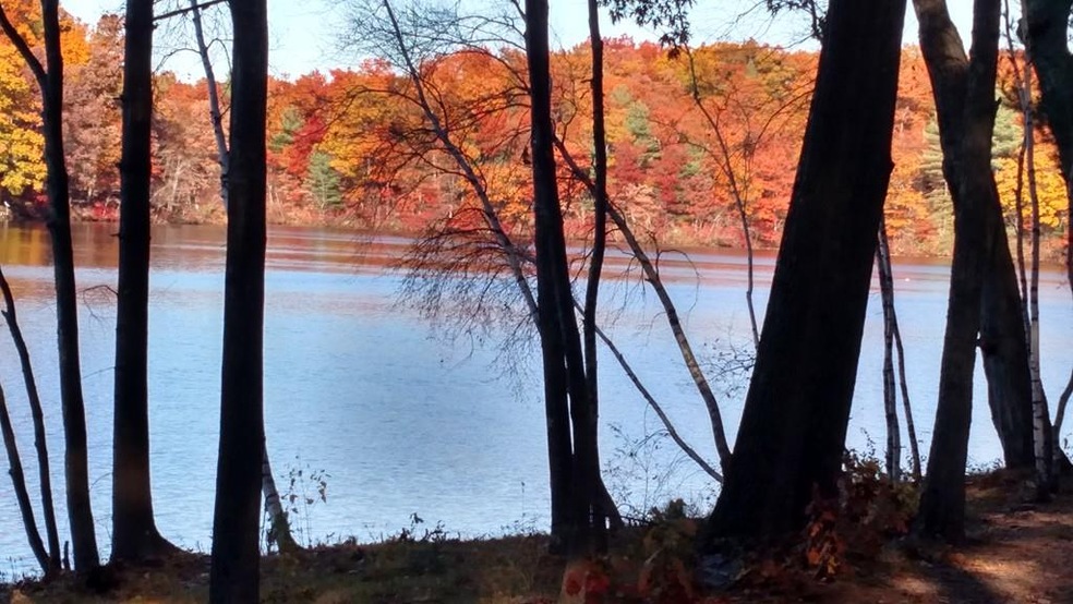 7 S Meadow Rd, Clinton, MA 01510 - photo 1