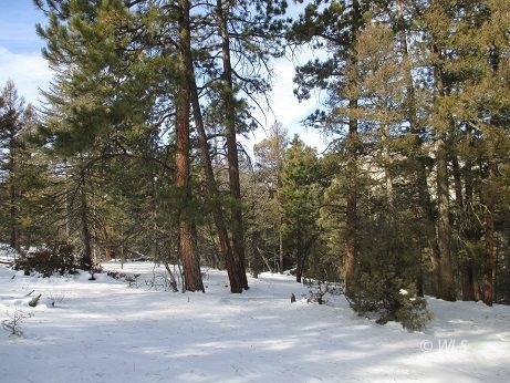 Trees