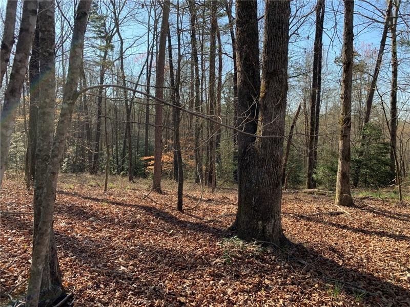 0 Aurum Hill Rd unit 6860895, Cleveland, GA 30528 - photo 1