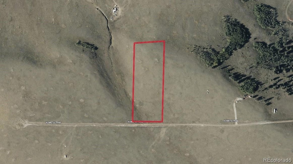 0 Koweta Trail unit REC2567918, Hartsel, CO 80449 - photo 1