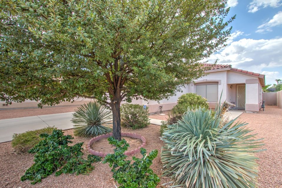 8419 E Milagro Cir-1