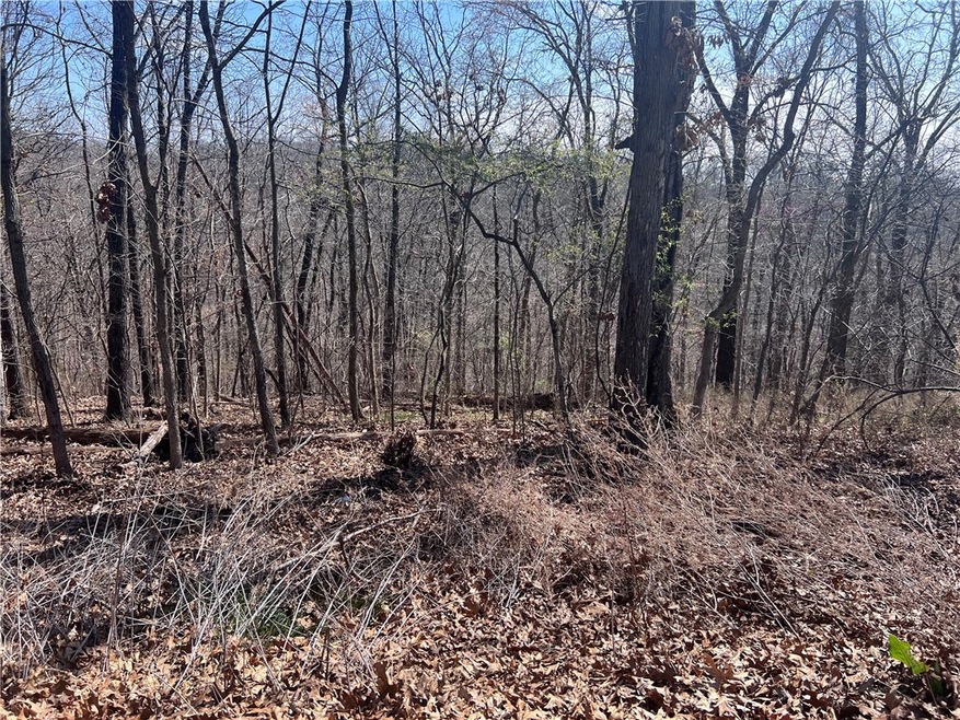 0 Billingsley Dr unit 1268909, Bella Vista, AR 72715 - photo 1