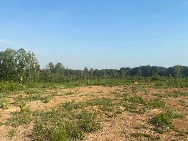 6 Mount Vernon Springs Rd, Siler City, NC 27344 - photo 1