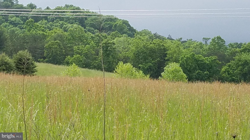 Lot 4 LOT 4 Winchester Grade Rd, Berkeley Springs, WV 25411 - photo 1