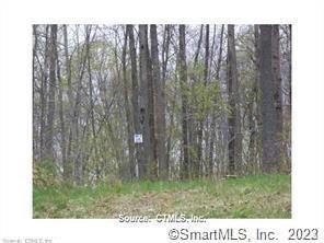 Sold $49,900 • Co-Listing Agent