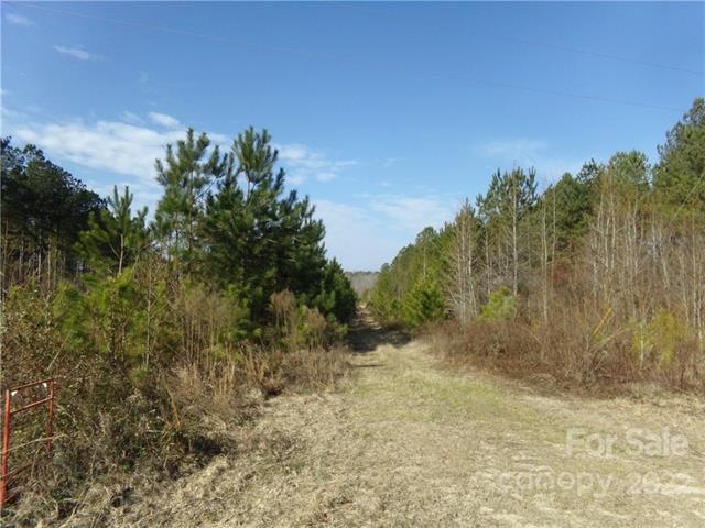 View of road leading into the property