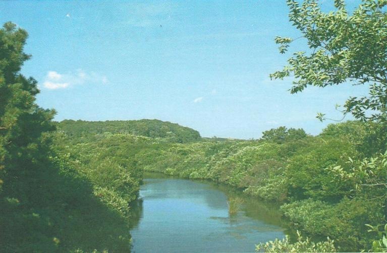 Primary Photo
