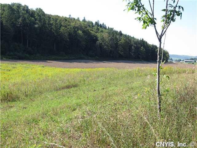 Other View of lot 2 from edge of lot 1 road fronta