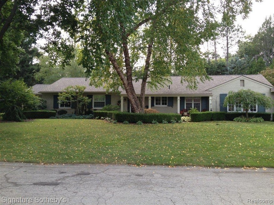1275 Twin Maples.JPG