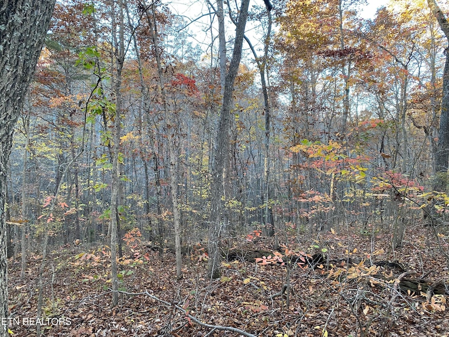 0 Cumberland View Dr unit 1321574, Crossville, TN 38571 - photo 1