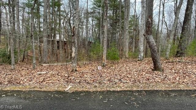 Lot 33 Reserve Trail, Stuart, VA 24171 - photo 1