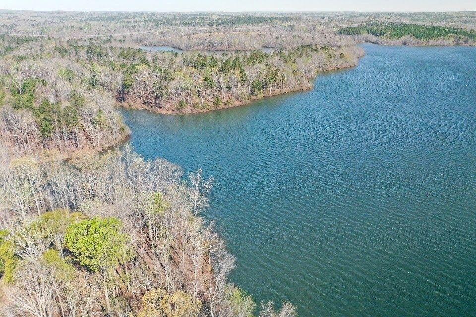 0 Old Driver Rd unit Tract 7 8915945, Whitesburg, GA 30185 - photo 1