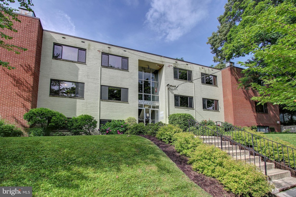407 Tulip Ave unit 101, Takoma Park, MD 20912 - photo 1