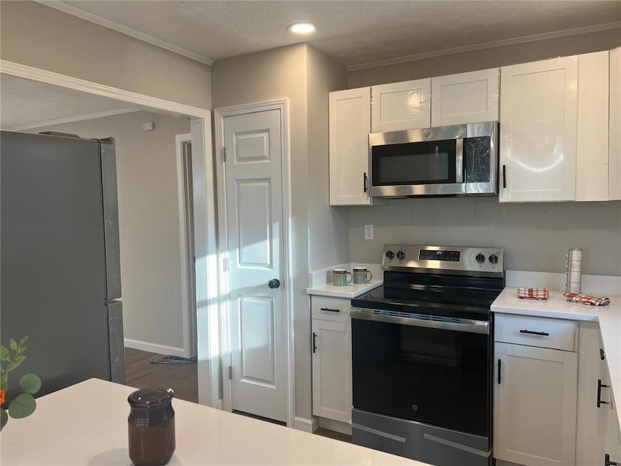 Kitchen with white cabinetry, crown molding, dark wood-type flooring, and stainless steel appliances